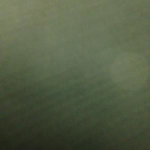 Meet your Posher, Daniela